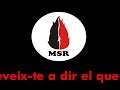 MSR : Video elecciones catalanas