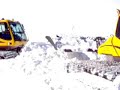 Prinoth, Bombi, and Sprite all ganging up on Robbie!