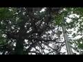 Ambiance Jardins