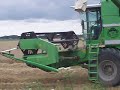 Deutz Fahr 4080 HTS Topliner harvesting wheat (2)