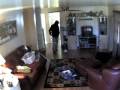 Stupid Burglar 4