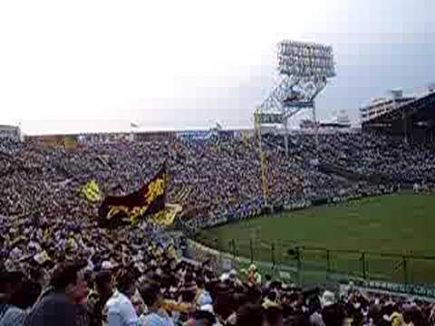 ０８年７月　阪神タイガース　１－９