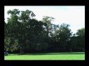 Music Video: To Build a Home - Cinematic Orchesta