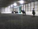 North Shore Mounted Maneuvers