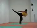 acrobacias de artes marciales