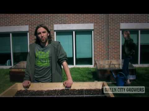 green city growers youtube video