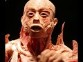 Human Body Art