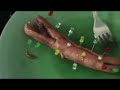 LED Sausage