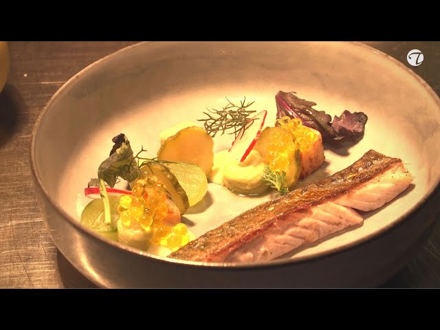Holzmakrele, Nashi Birne, Gurke, Wasabi 