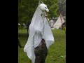 Green Man Festival 2008- Dancing Ghost Horse