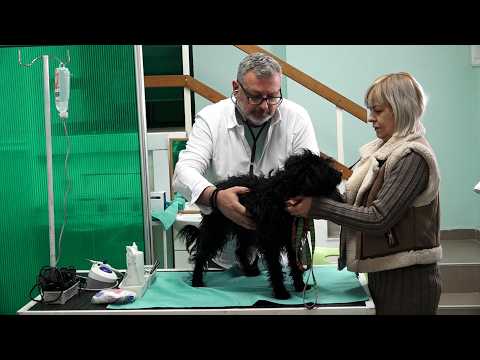 ПОЧИЊЕ СЕЗОНА КРПЕЉА