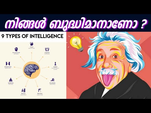 9 Types of Intelligence | നിങ്ങളുടേത് ഏത് Type ആണെന്ന് കണ്ടുപിടിക്കൂ !