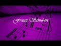 Franz Schubert - Ave Maria For Violin
