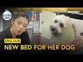 Lee Jung Designs A Custom Bed For Her Dog! 🐶 | Home Alone EP613 | KOCOWA+
