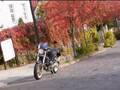 IMAGE OF DUCATI MONSTER S4R