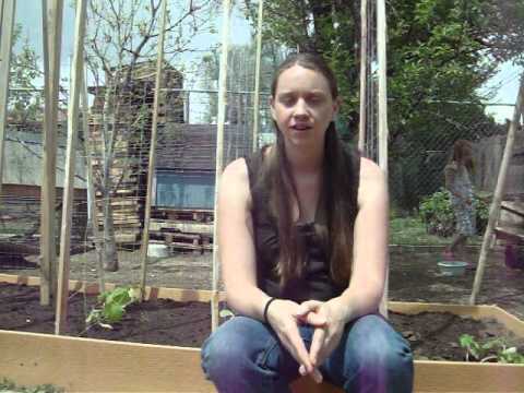 how to adjust ph in soil