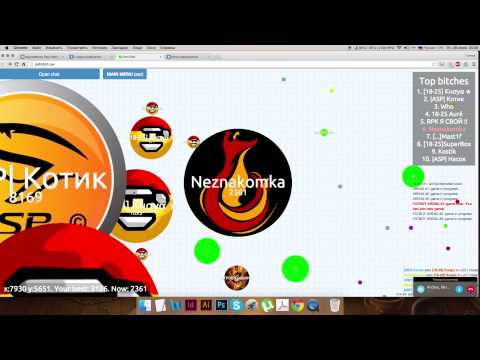 Как сделать скин для петри диш Как сделать скин для петри диш