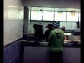 Shane in tha chippy