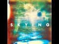 06. Still Life---The Horrors