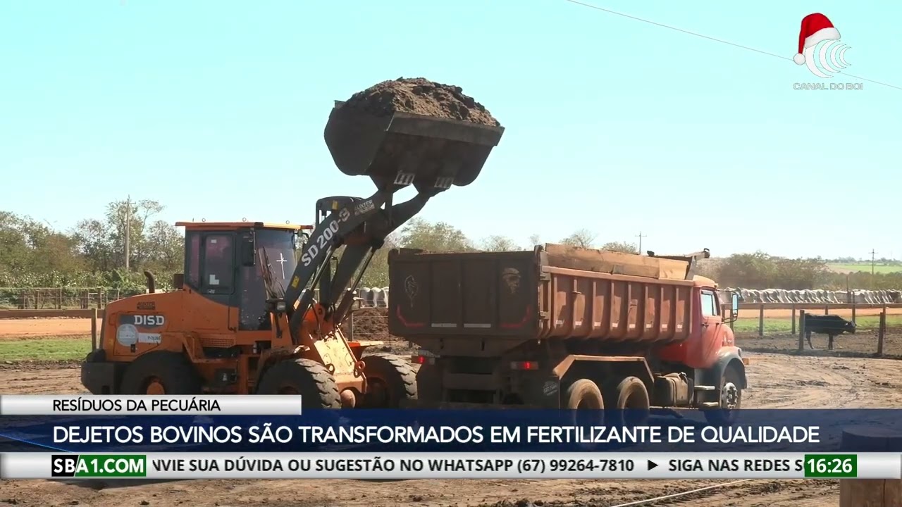 Dejetos bovinos são transformados em fertilizantes de alta qualidade pela Organics