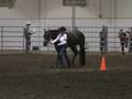 4-H Western Horse Showmanship
