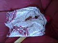 Psycho Transvestite Bear with an Axe part: 1