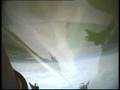 videos de Rock your wings !