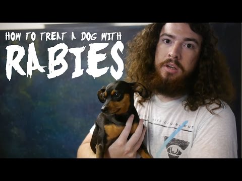 how to treat rabies