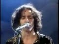 navegar   javier calamaro en cmtv