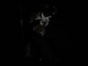 Splatter House Films Promo Trailer