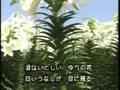 花恋慕