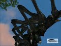 L2 GM server RELAX