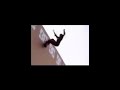 Danny Way Big Ramp