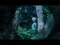 The Super Amazing Project - Alien spotted in Brazil rainforest!