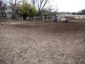 videos de Yutori Finnish Lapphund 