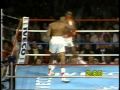 BOB ARUM TRIBUTE