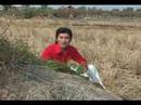Tan Co -Chien Cong Tham Lang - Dao Vu Thanh