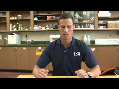 how to grow e coli in liquid media