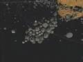 The Giant Impact Hypothesis