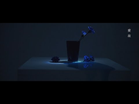 Муз. клипы