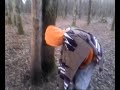 dans le medoc, des rollistes qui dorment dans une cabane perchee dans les arbres en pleine foret un 23 decembre, s'eveillent et s'en vont profiter de la fraicheur matinale et vivifiante de la saison