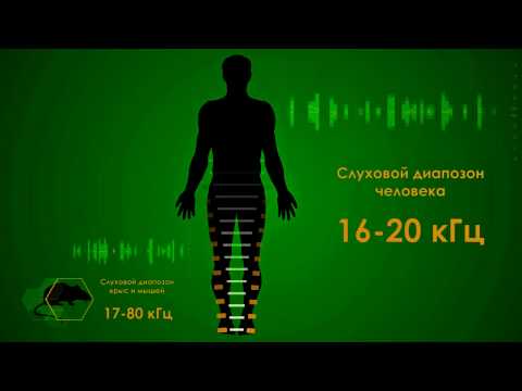 Youtube-�����: ������������ �������� ������� 200