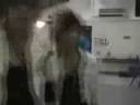 Jrocker have fun XD! Jrocker have fun XD!
