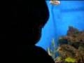 videos de Manila Ocean Park -eusebio