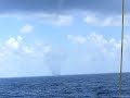 Water Spout