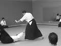 Examen 2� Dan aikido en Villava