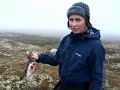 Hunting birds in Norway