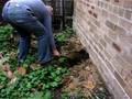 Bokashi Composting