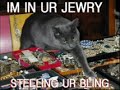 Caturday I