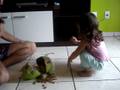 videos de Rebecca - detonando o porquinho